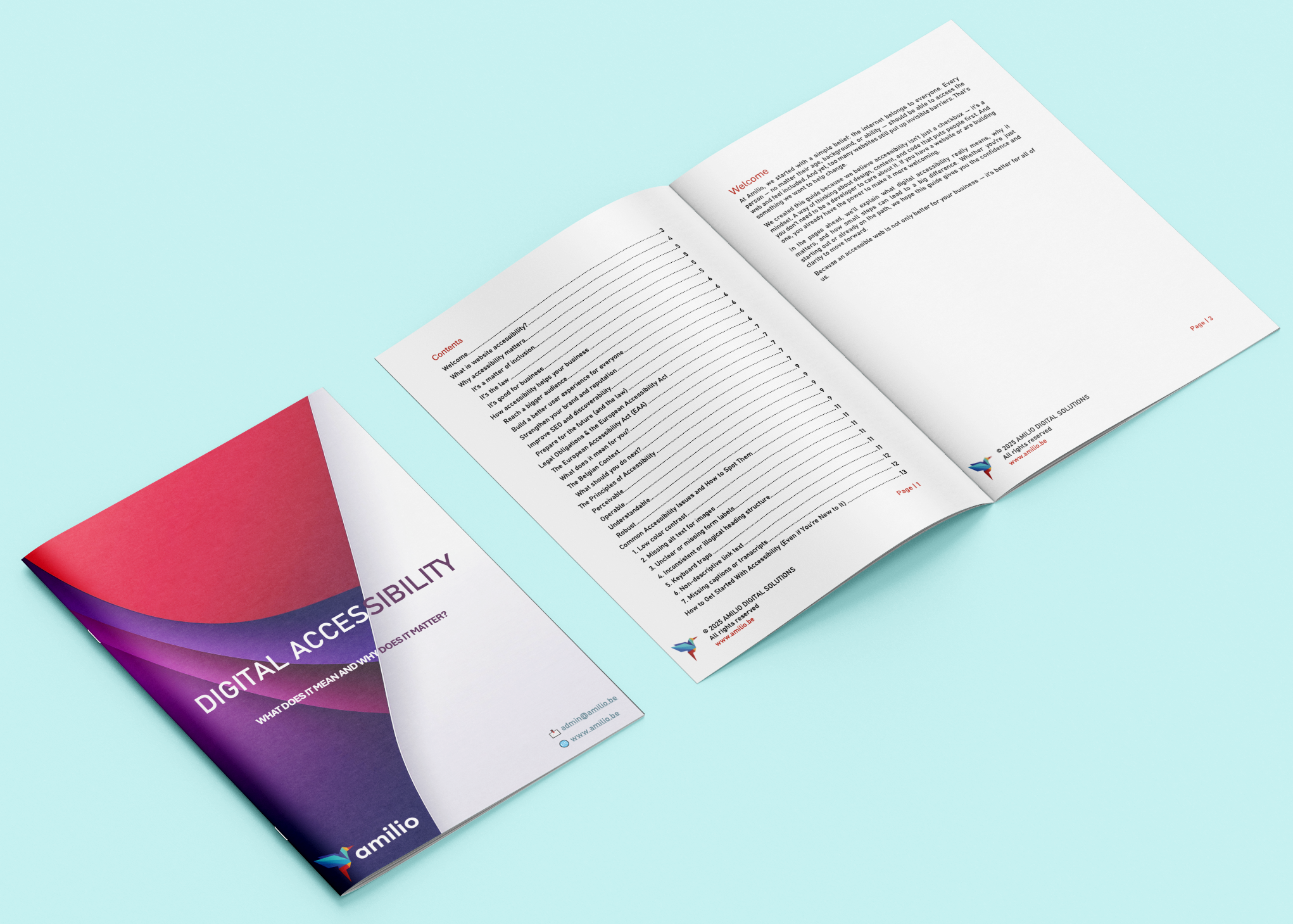 Open Accessibility Report Brochure